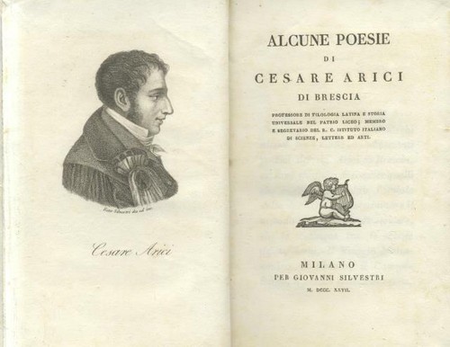 Arici cesare alcune - cesare.,