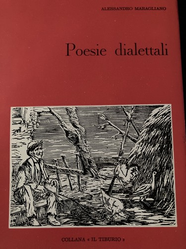 Libri antichi collezione - libri,